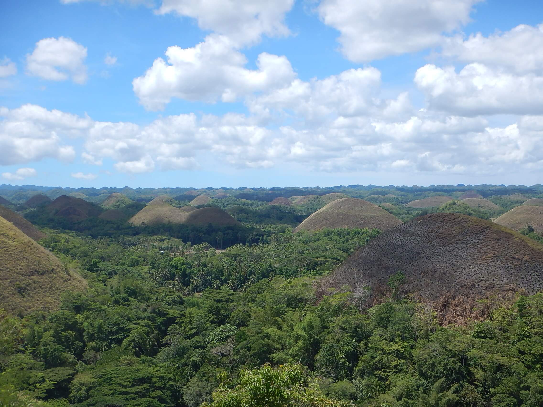 Chocolate Hills Bohol