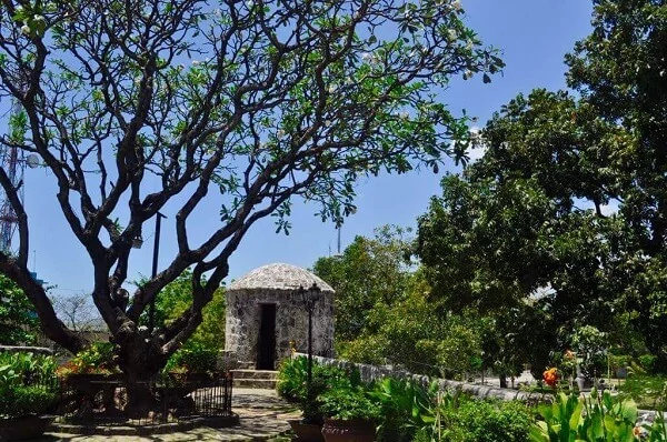 The garden of Fort San Pedro (Cebu) is amazing!