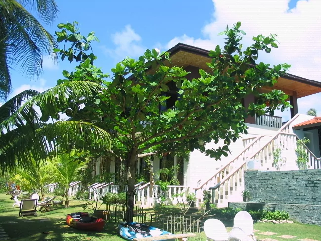 Cottages at Island View Beachfront Resort