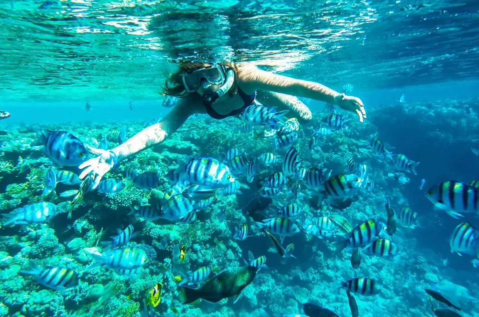 NoaNoa Island Snorkeling