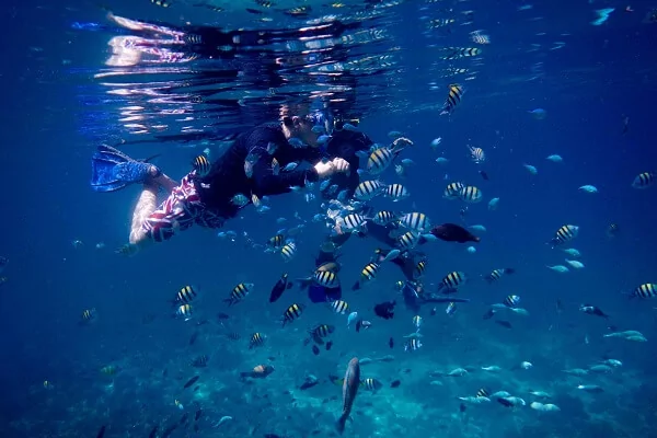 Snorkeling and discovering the underwater wonders around Cebu